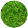 grass-4 grass-4